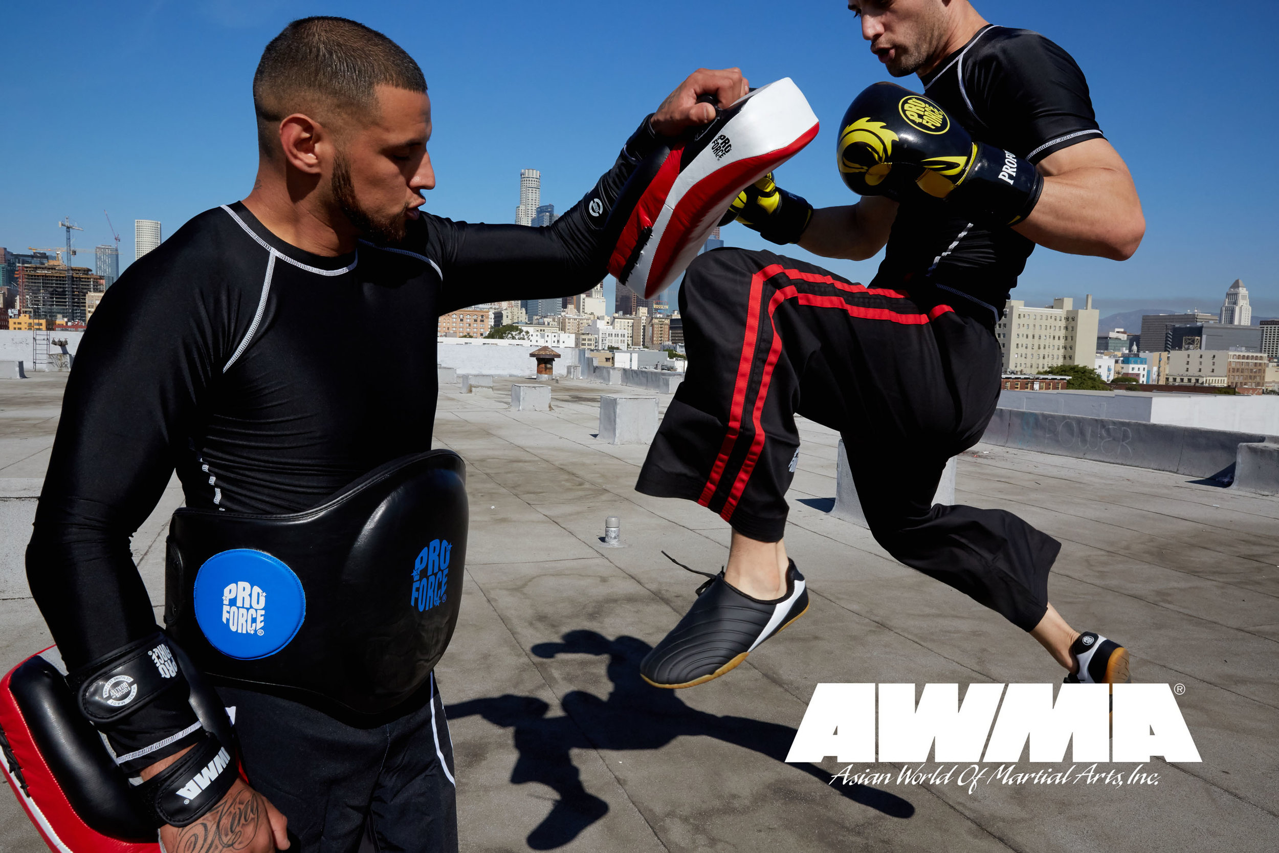 Wintry Mountain Landscape